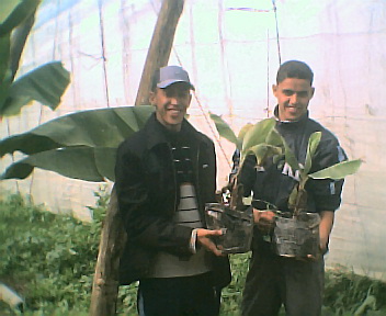 nourali