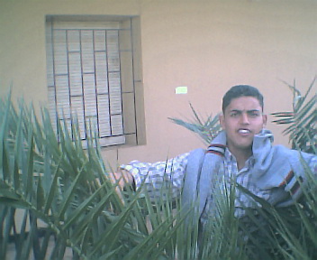 SI ALI